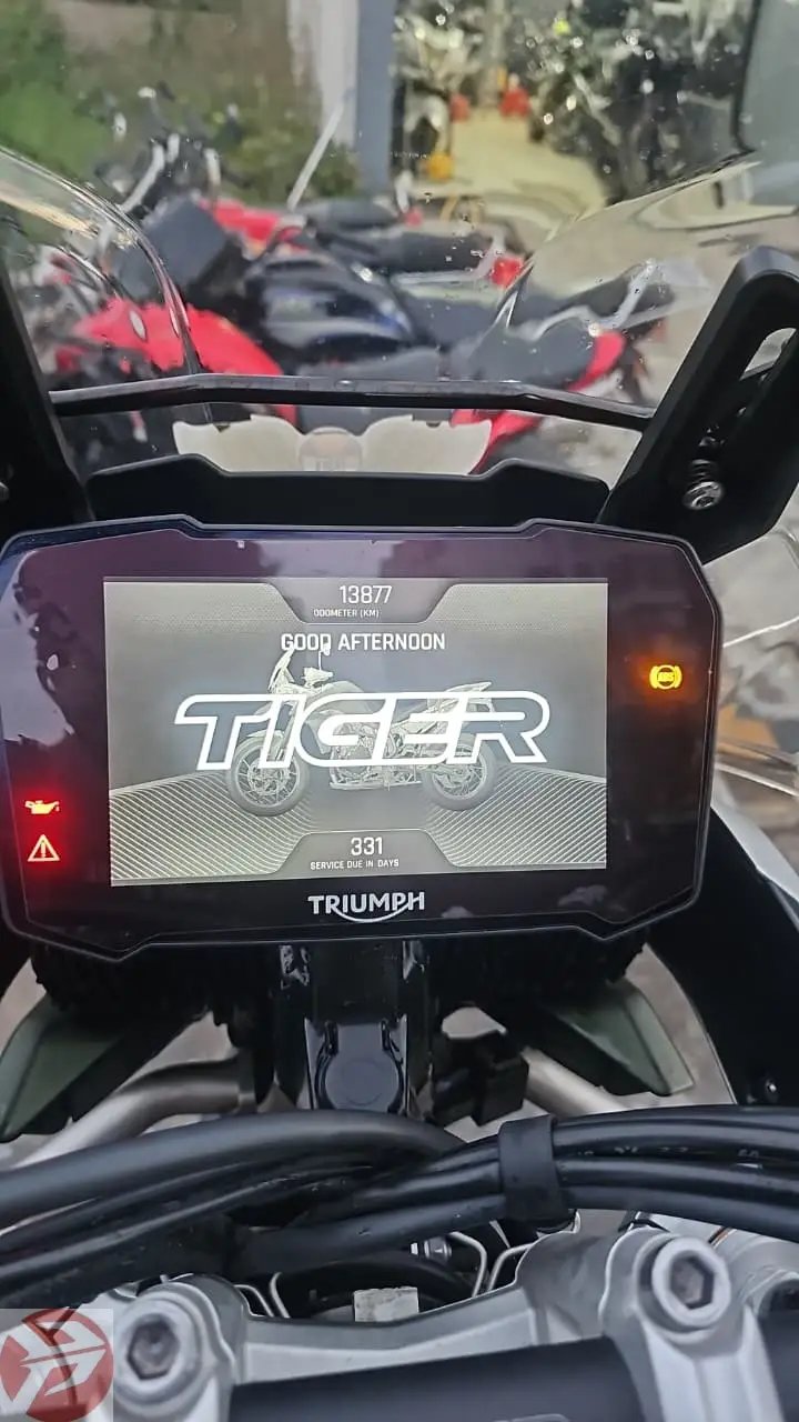 Triumph Tiger 900 Rally Pro (2023- MP Registered) For Sale