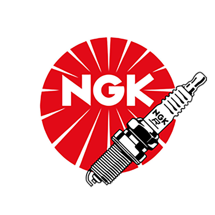NGK-Spark-Plugs Pathpavers