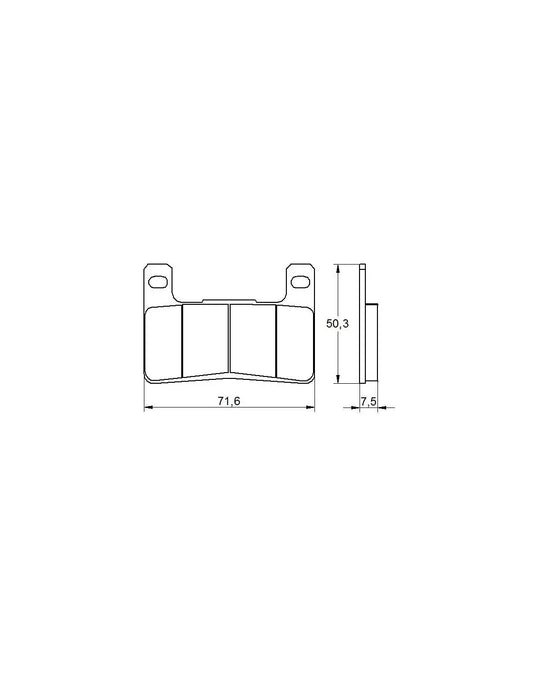 Accossato Brake Pads Kit For Motorcycle, AGPA109ST (Front) 