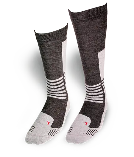 Daytona Socks 