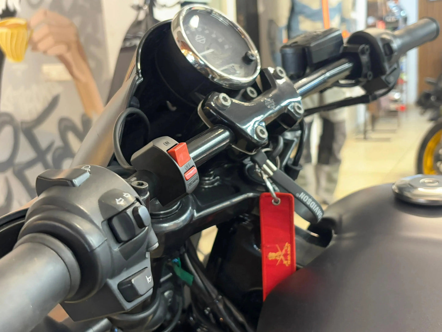 Harley-Davidson Street Rod 2018 HR Registered For Sale Pathpavers