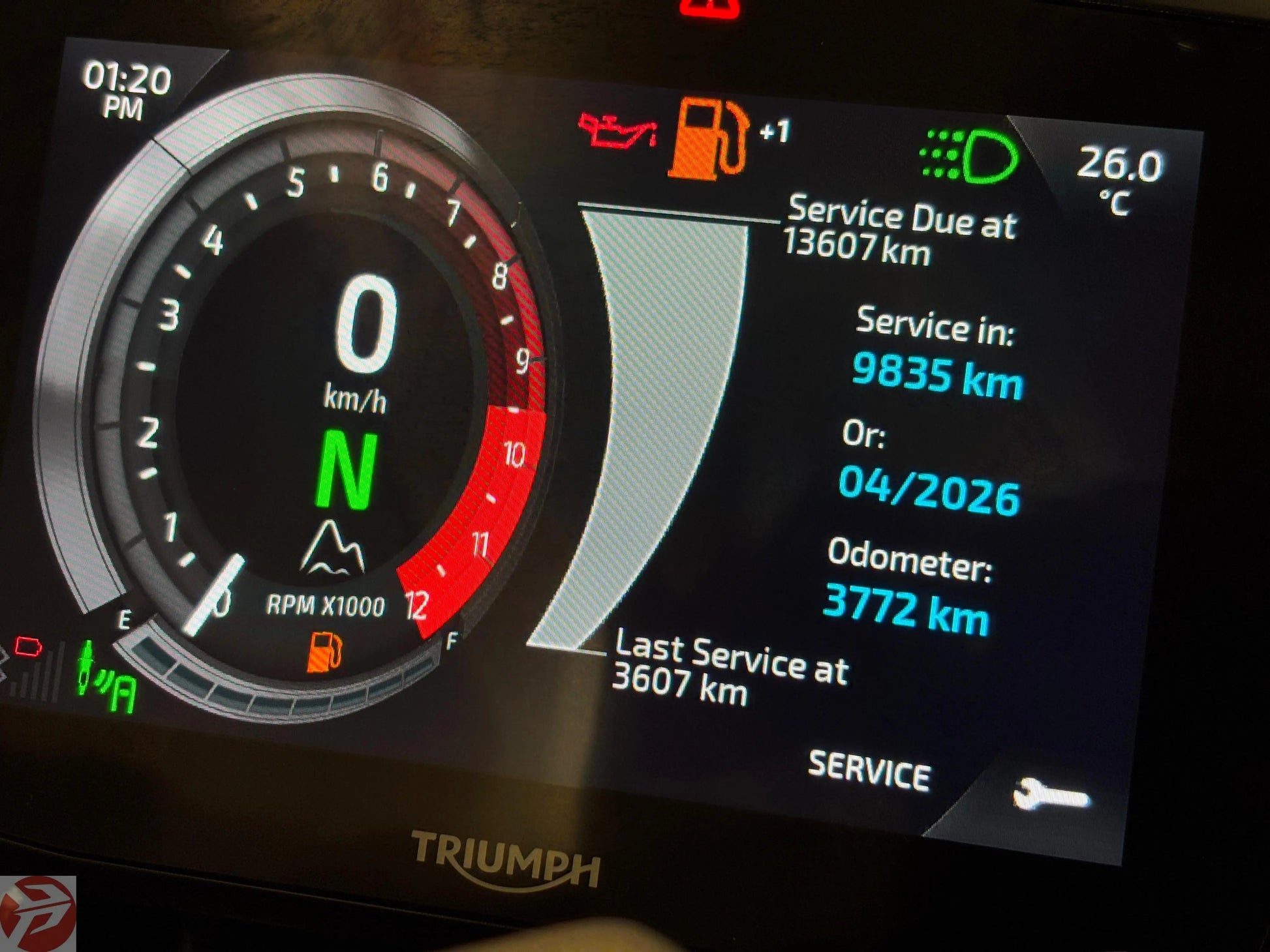 Triumph Tiger 1200 Rally Explorer (2023 - Chandigarh Registered) For Sale 