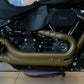 Harley Davidson Fatbob 2022 For Sale Pathpavers