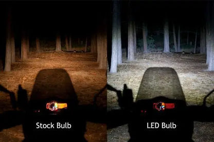Bulb - Cyclops H7 8000 Lumen (For 2pc) Headlight Bulb